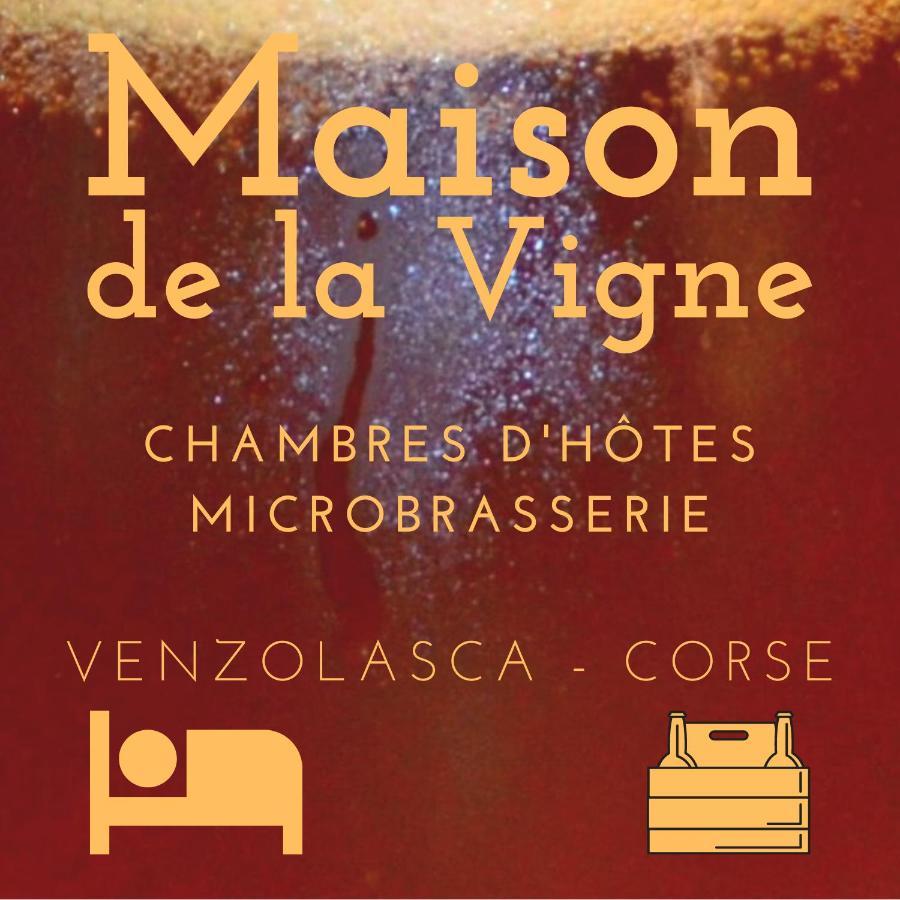 Venzolasca Maison De La Vigne מראה חיצוני תמונה